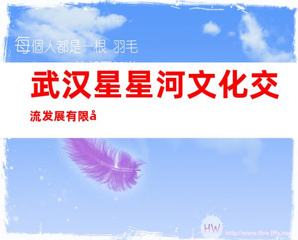 武汉星星河文化交流发展有限公司